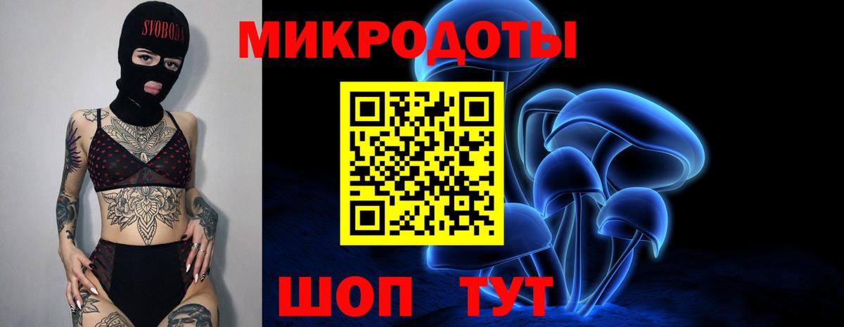 Дмитров  Псилоцибиновые грибы Magic Shrooms  Вход с VPN  Галлюциногенные грибы GOLDEN TEACHER 